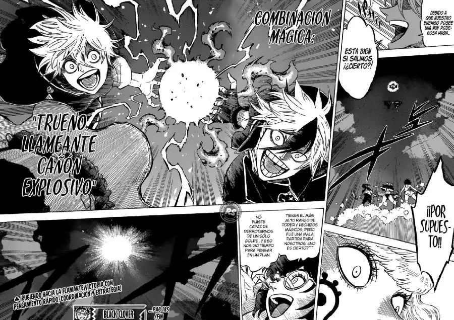Black Clover capítulo 185, página 13