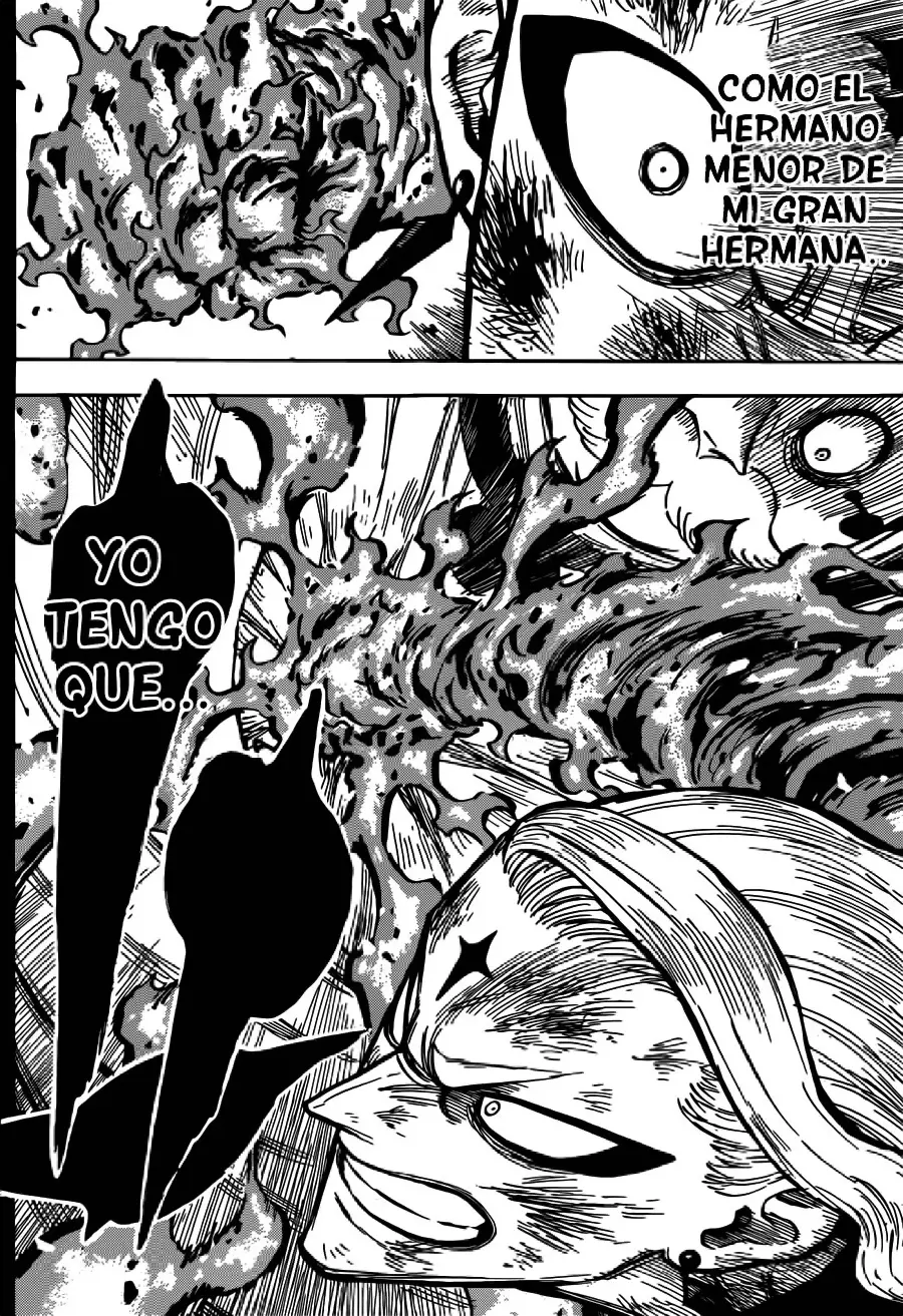 Black Clover capítulo 192, página 13