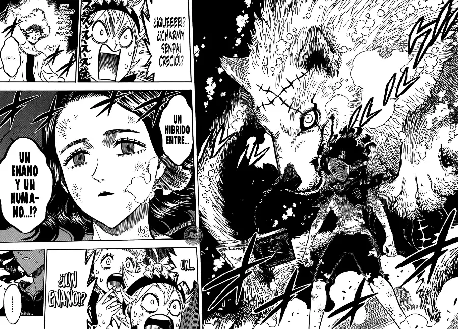 Black Clover capítulo 194, página 9