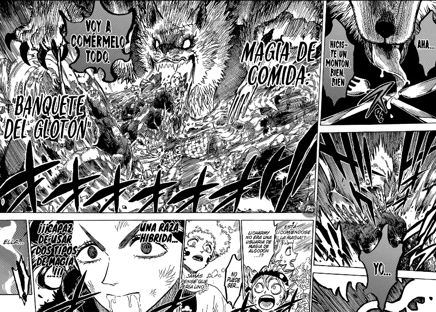Black Clover capítulo 194, página 12