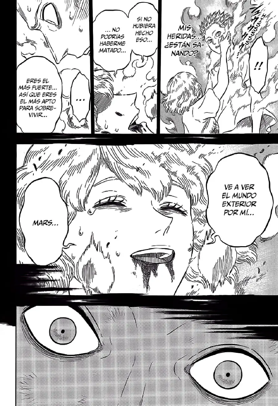 Black Clover capítulo 21, página 15