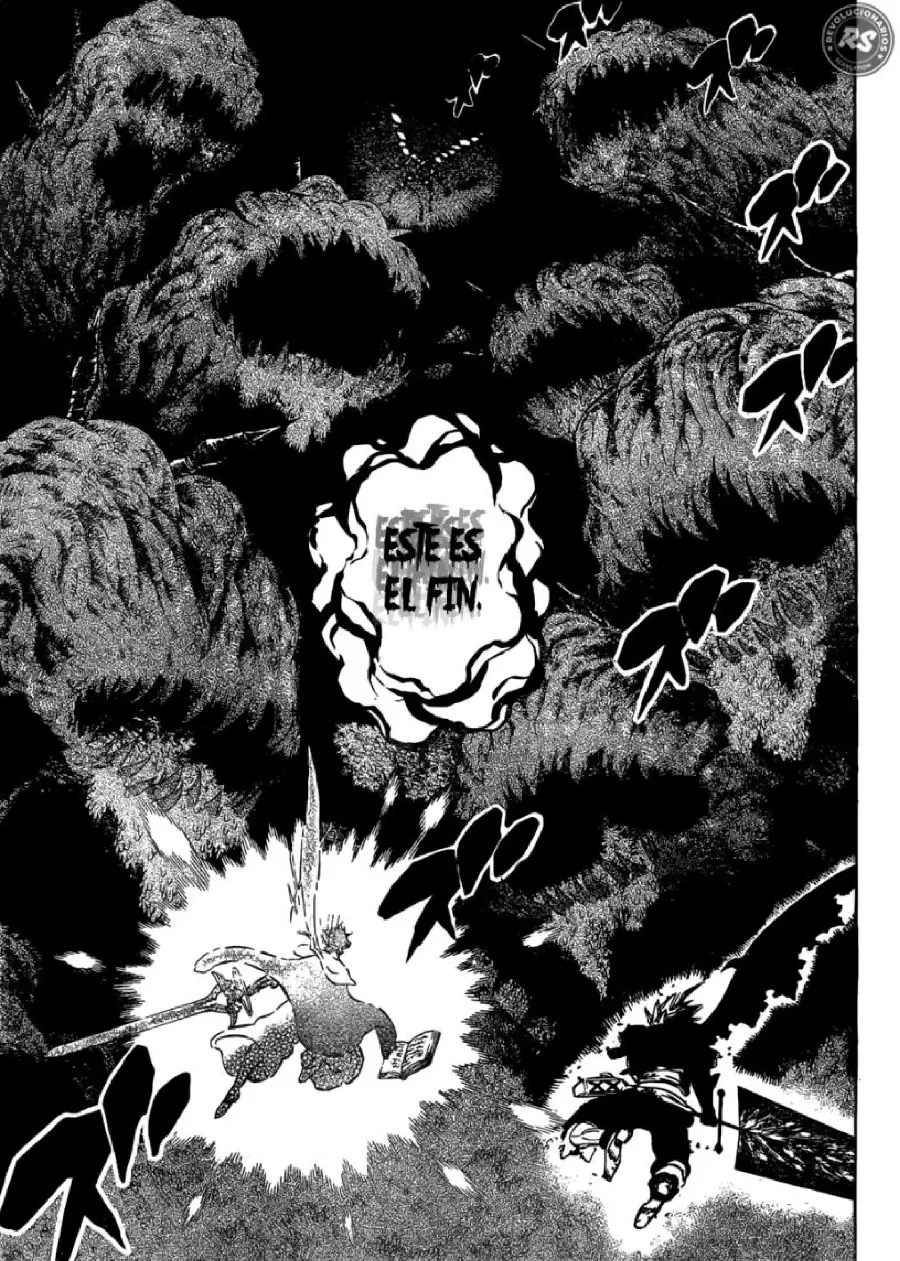 Black Clover capítulo 210, página 13