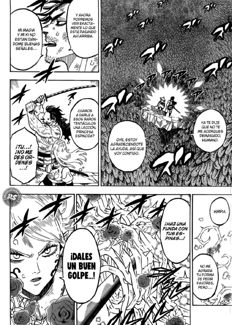 Black Clover capítulo 210, página 14