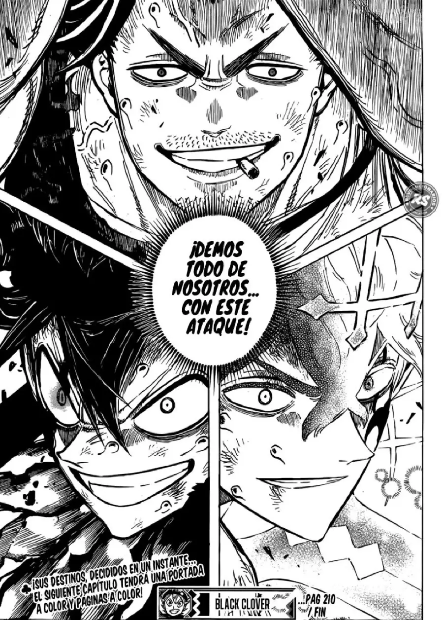 Black Clover capítulo 210, página 15