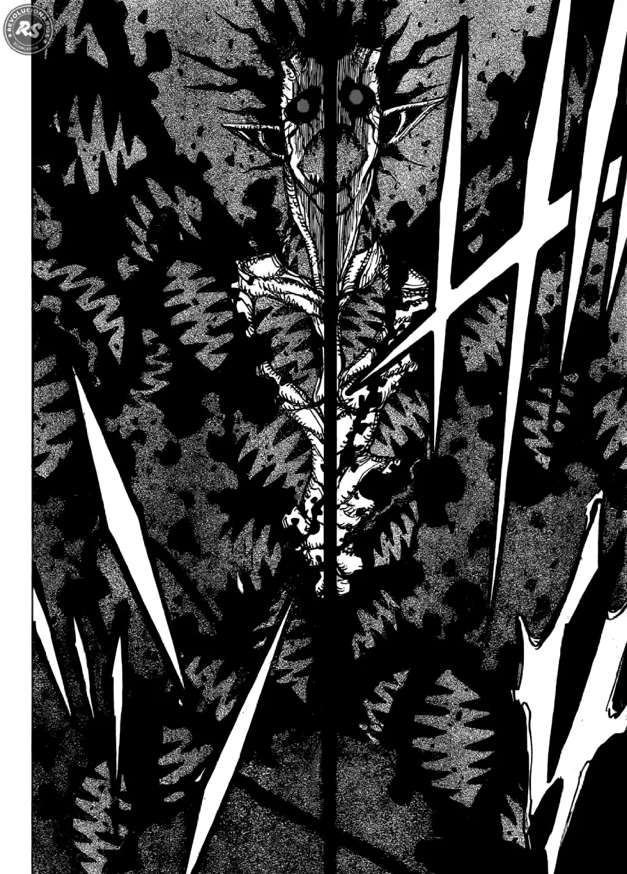 Black Clover capítulo 211, página 15