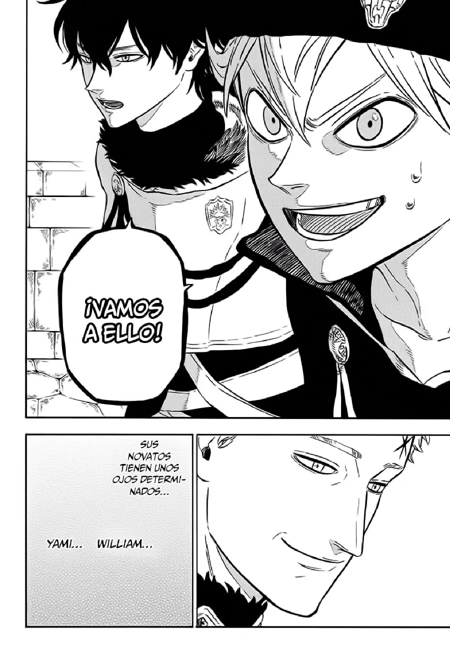 Black Clover capítulo 22, página 17