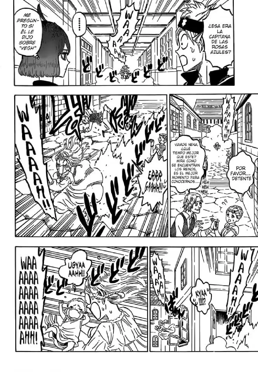 Black Clover capítulo 220, página 14