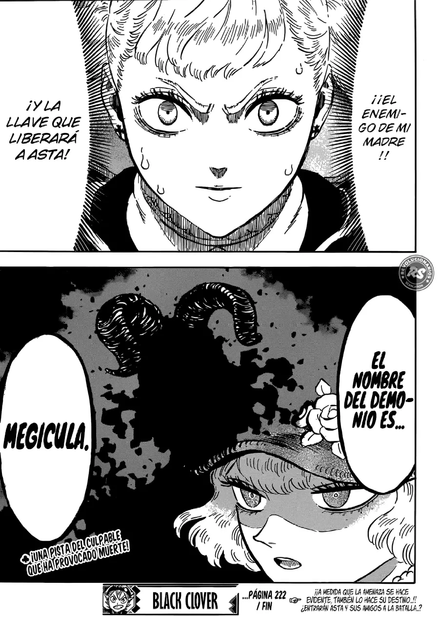 Black Clover capítulo 222, página 14