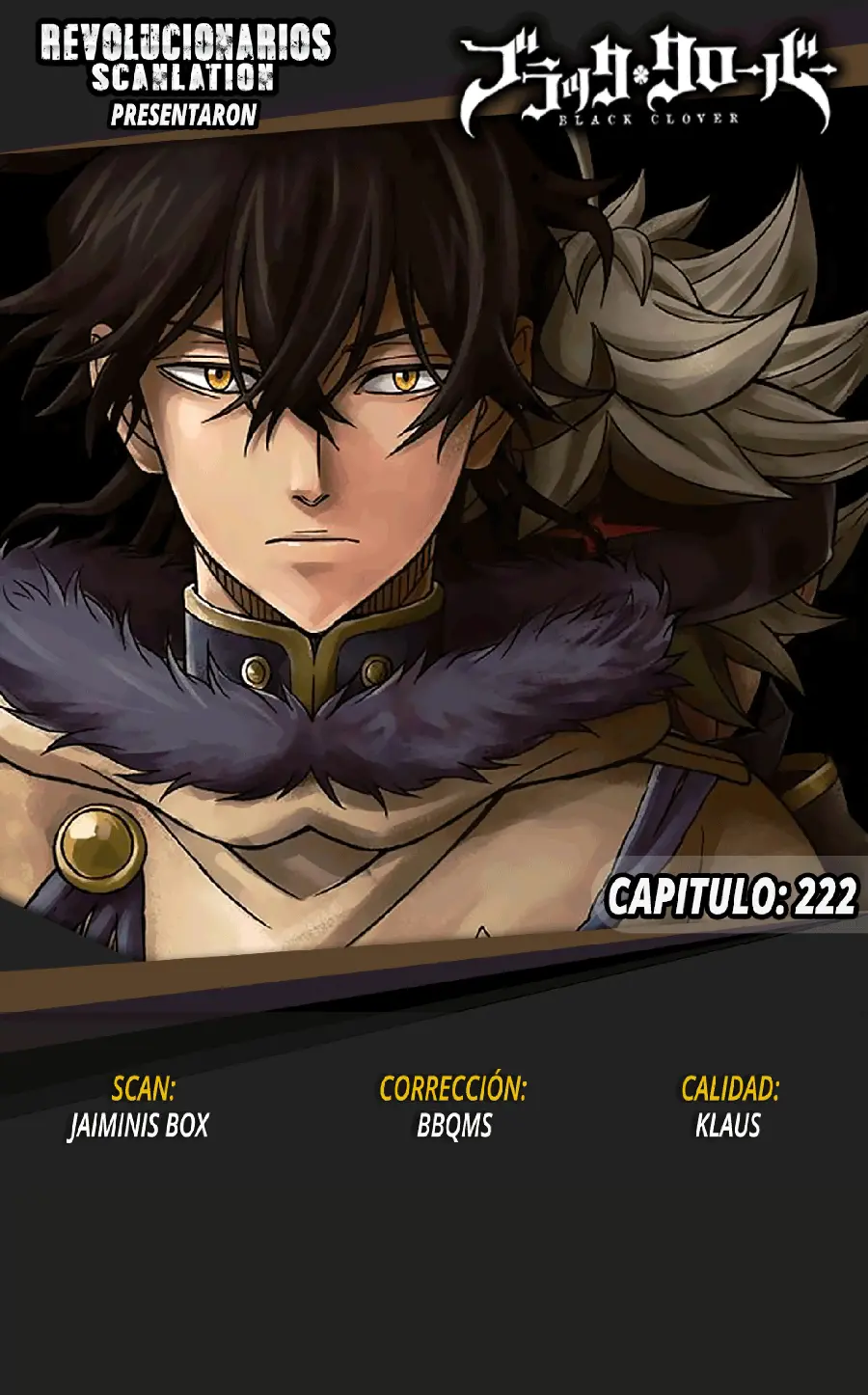 Black Clover capítulo 222, página 15