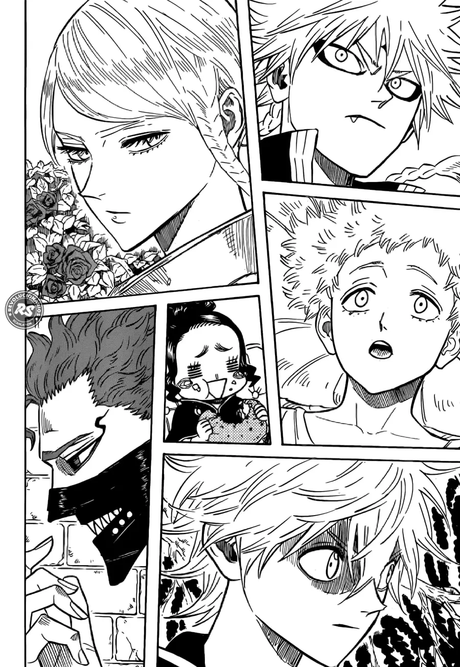 Black Clover capítulo 228, página 14
