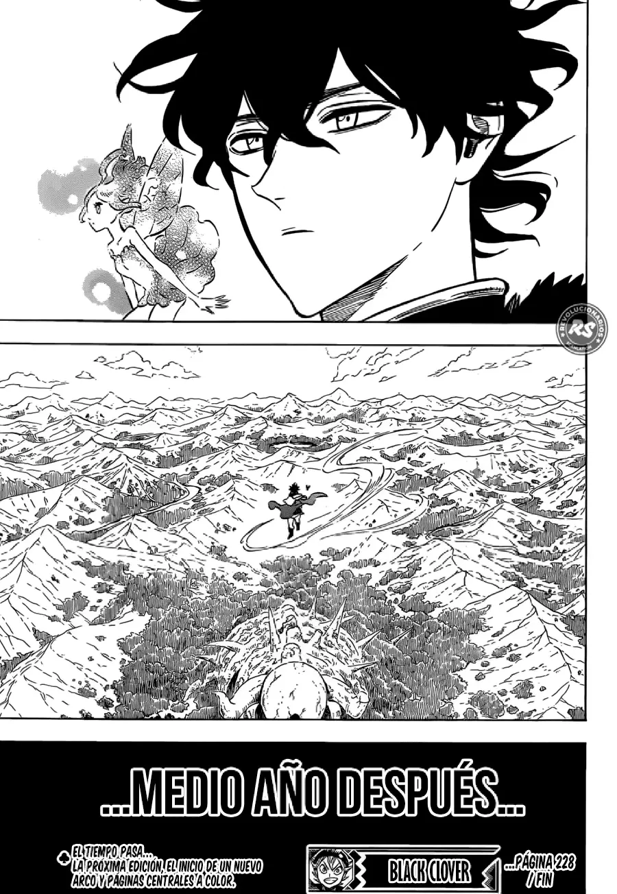 Black Clover capítulo 228, página 15