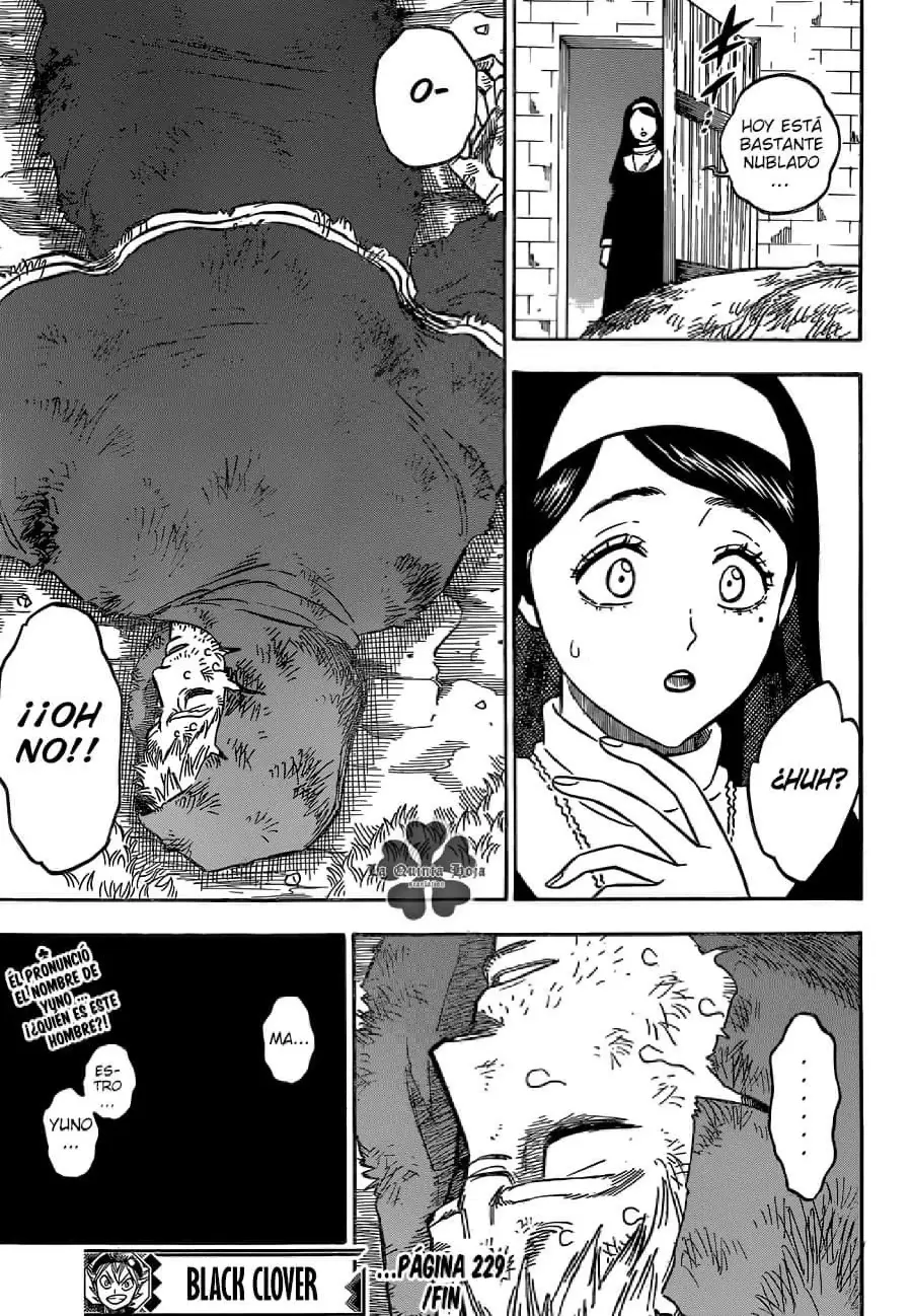 Black Clover capítulo 229, página 16
