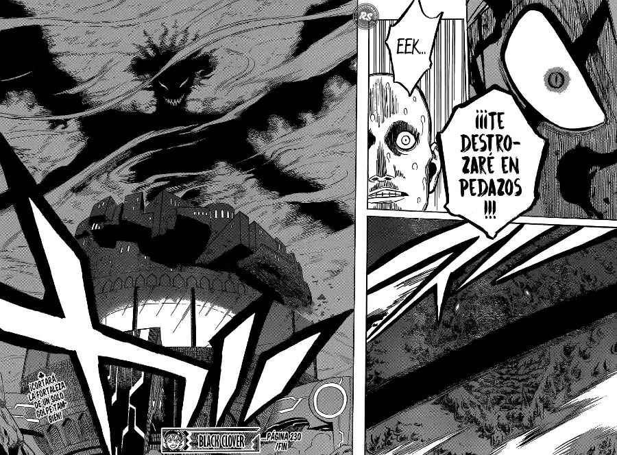 Black Clover capítulo 230, página 13
