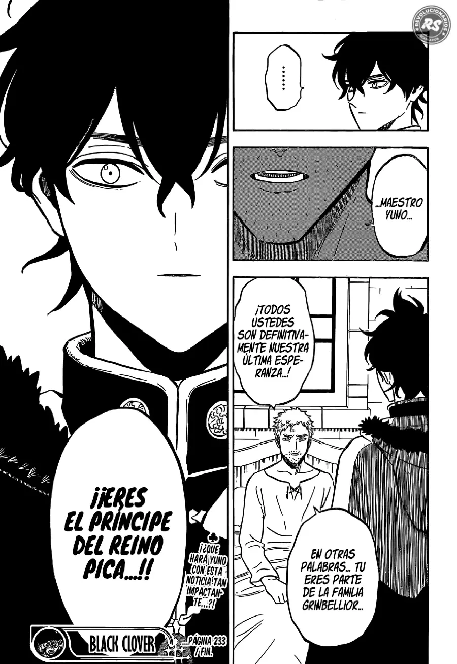 Black Clover capítulo 233, página 12