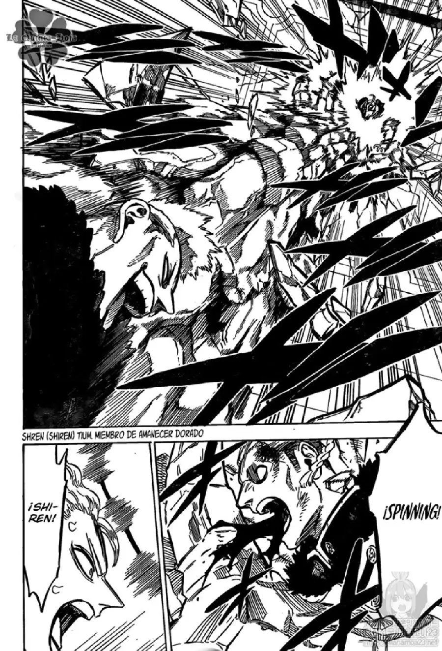Black Clover capítulo 235, página 5