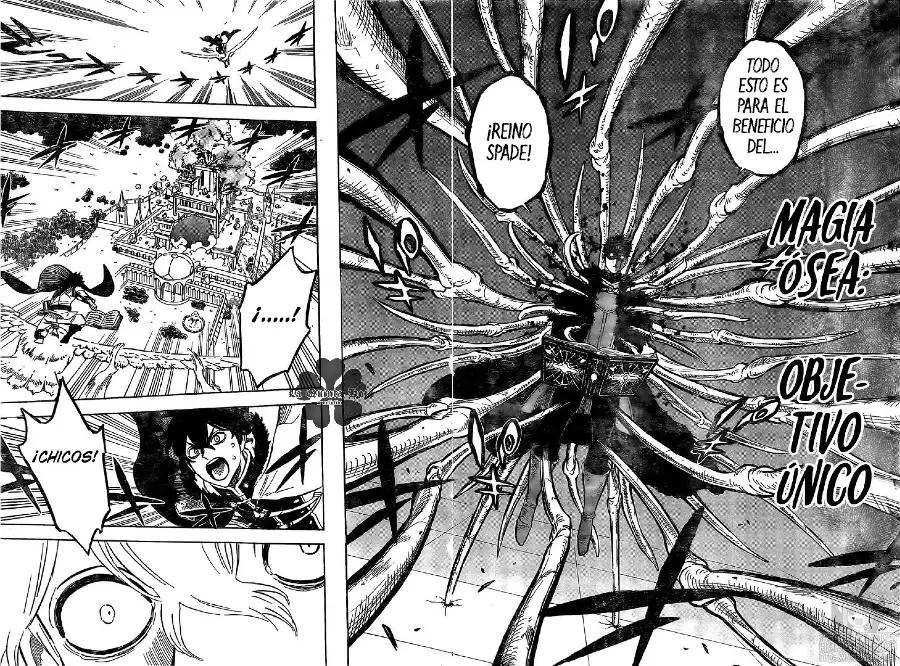 Black Clover capítulo 235, página 9