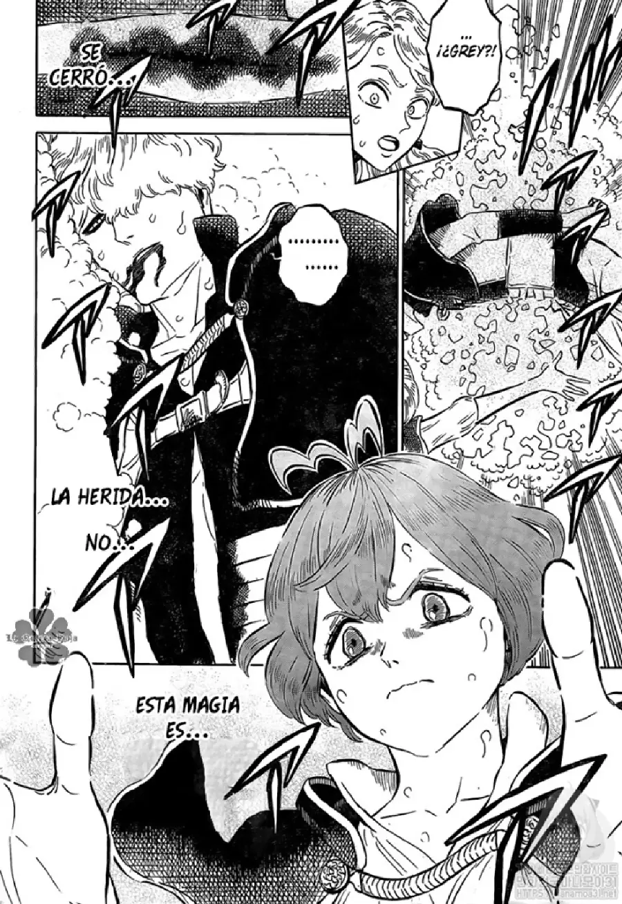 Black Clover capítulo 244, página 12