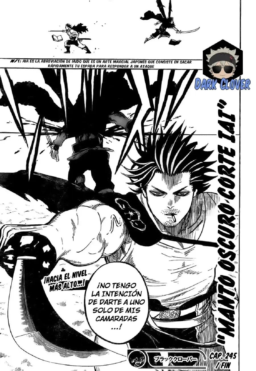 Black Clover capítulo 245, página 14
