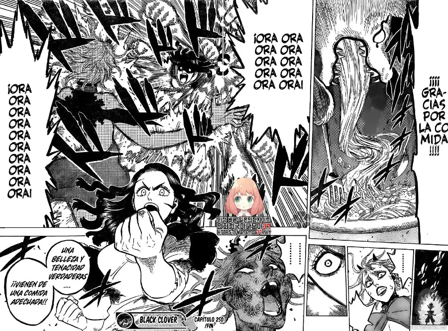 Black Clover capítulo 250, página 13