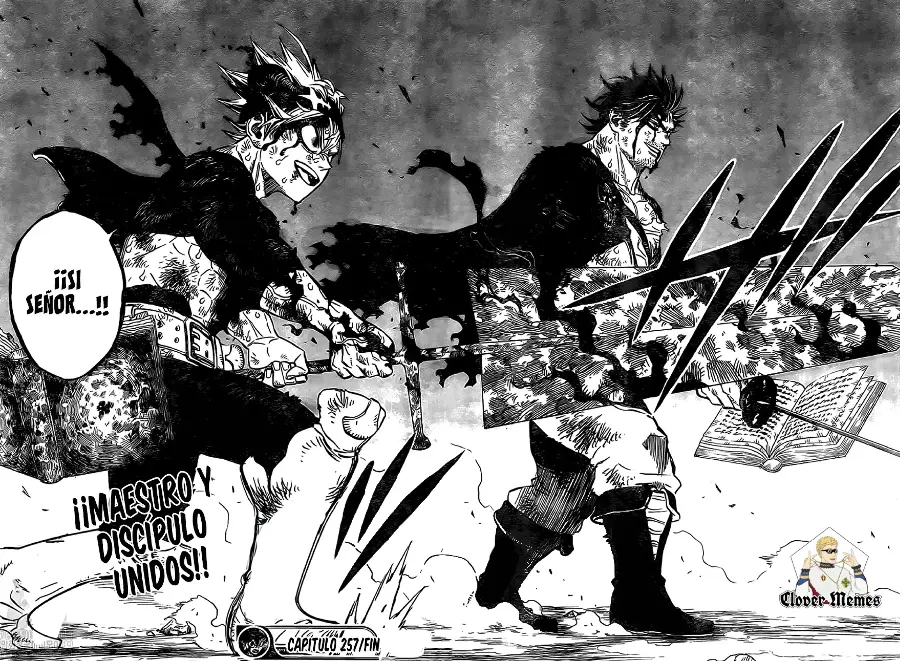 Black Clover capítulo 257, página 12