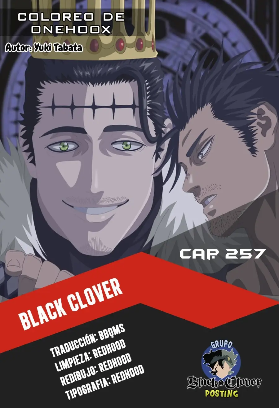 Black Clover capítulo 257, página 13