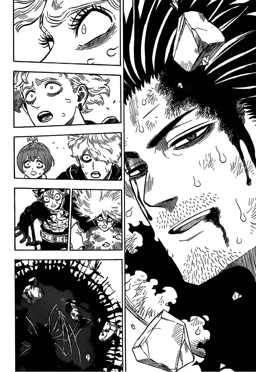 Black Clover capítulo 260, página 14