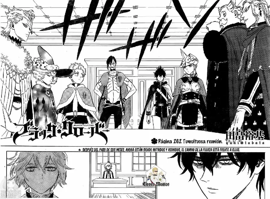 Black Clover capítulo 262, página 7