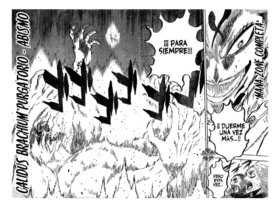 Black Clover capítulo 275, página 14