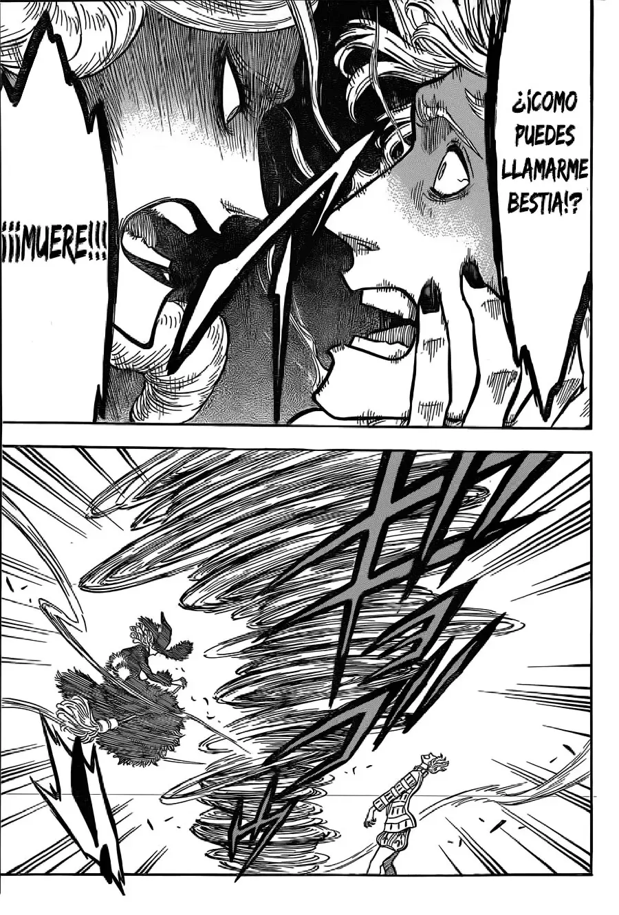 Black Clover capítulo 28, página 15