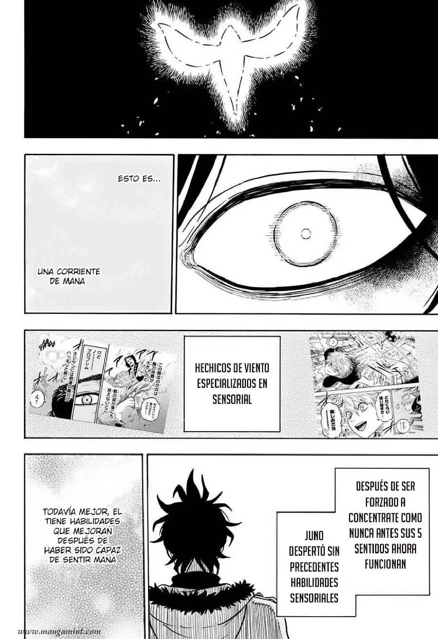 Black Clover capítulo 29, página 13