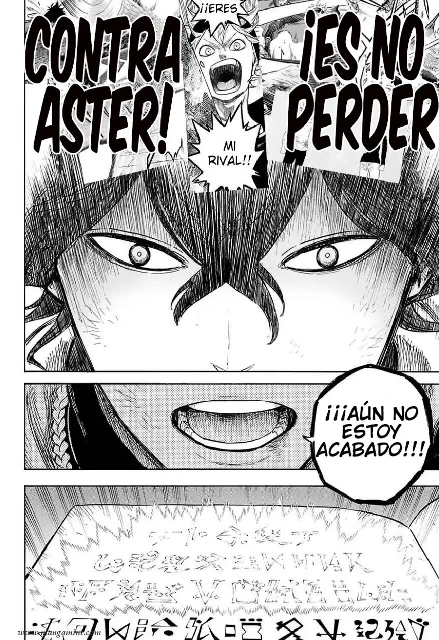 Black Clover capítulo 29, página 15