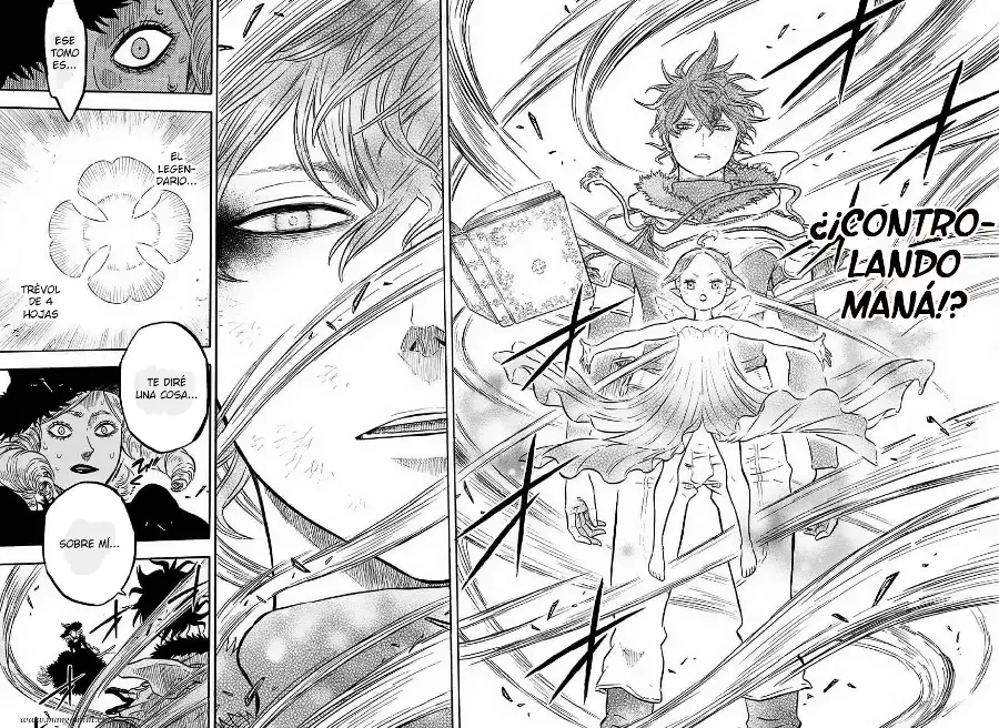 Black Clover capítulo 29, página 17