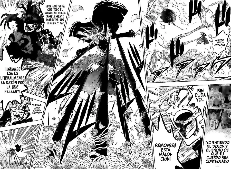 Black Clover capítulo 294, página 14
