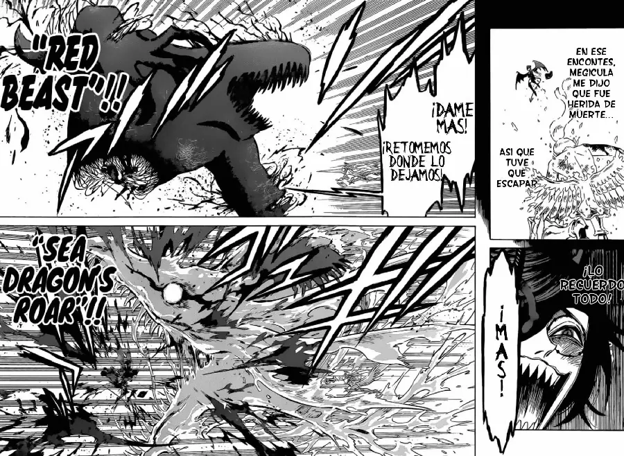 Black Clover capítulo 296, página 11