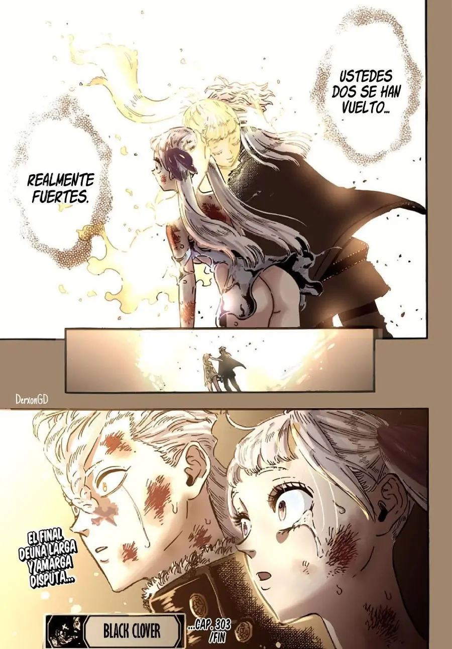Black Clover capítulo 303, página 14
