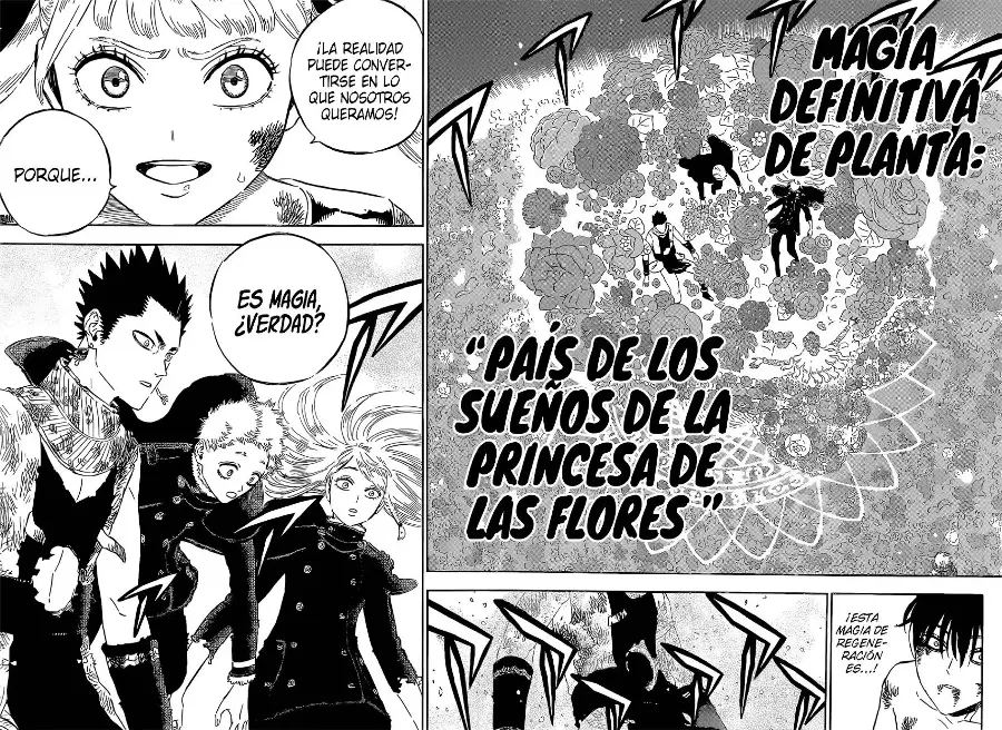 Black Clover capítulo 304, página 11