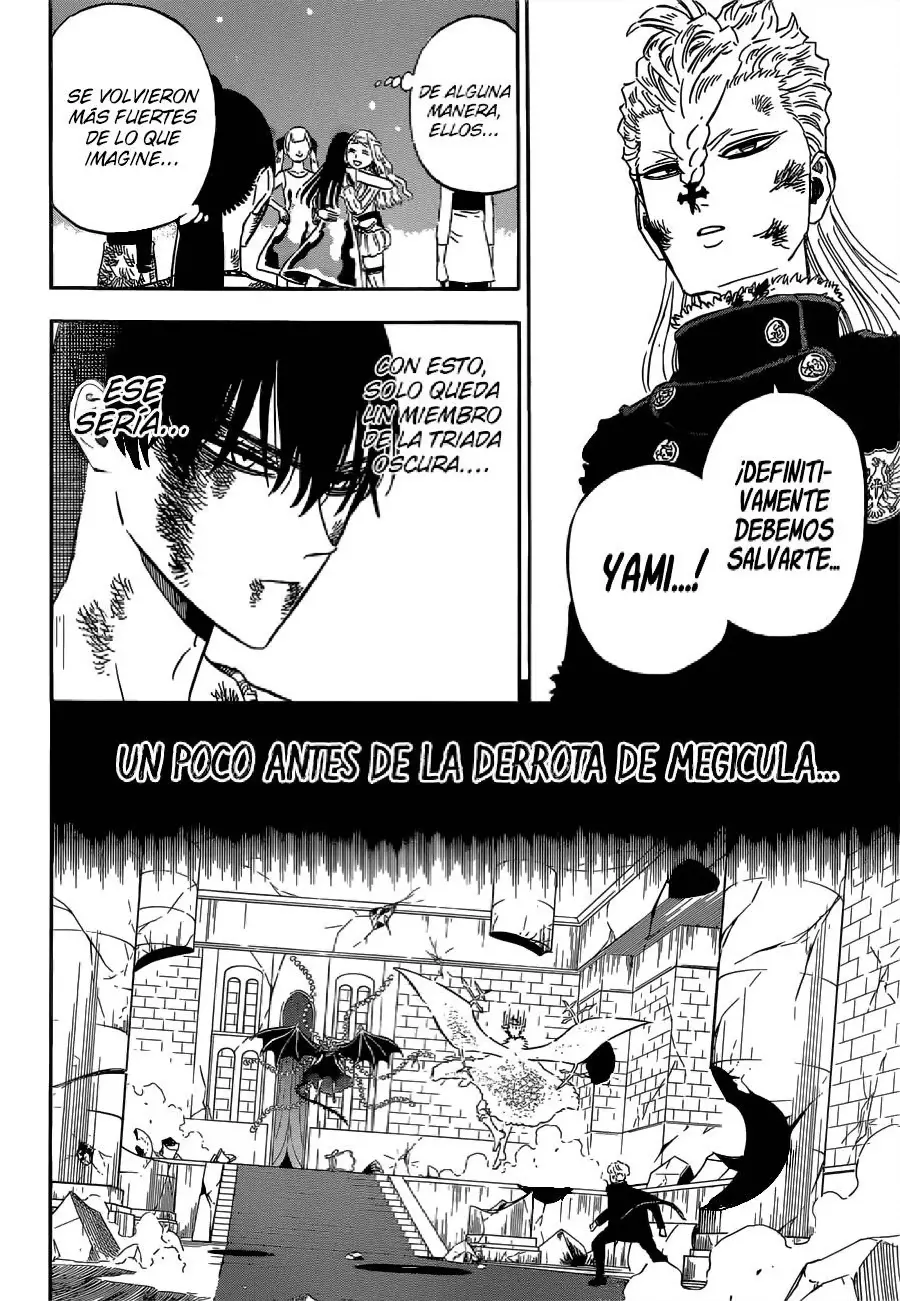 Black Clover capítulo 304, página 14
