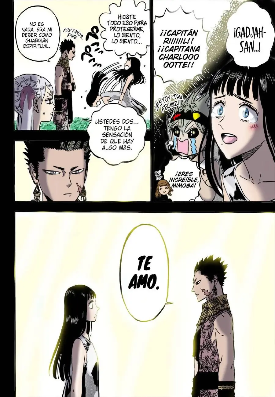 Black Clover capítulo 304, página 16