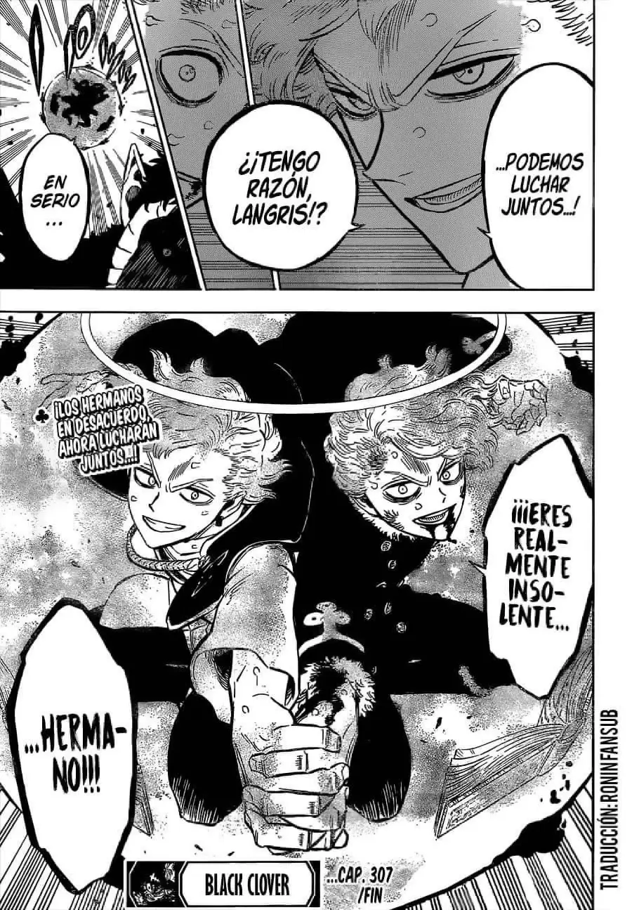 Black Clover capítulo 307, página 13