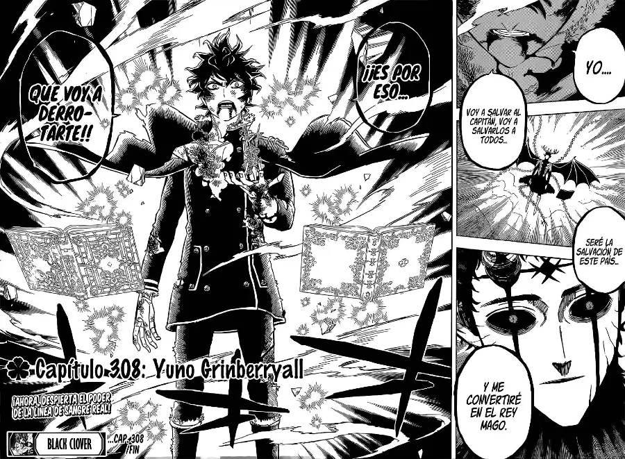 Black Clover capítulo 308, página 14