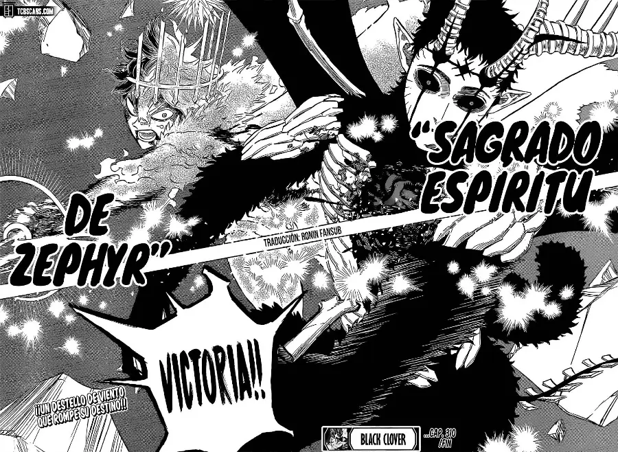 Black Clover capítulo 310, página 13