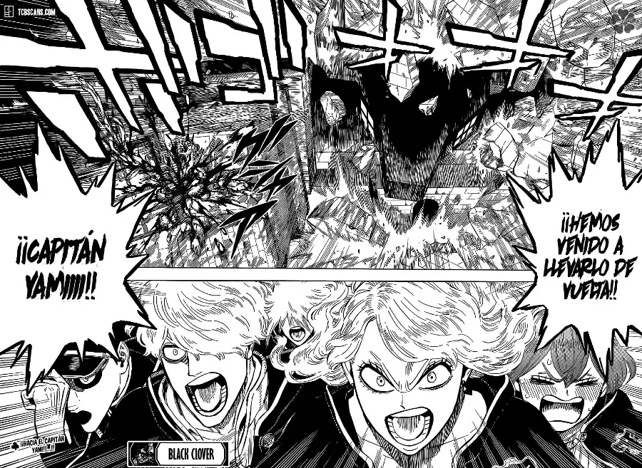 Black Clover capítulo 311, página 14