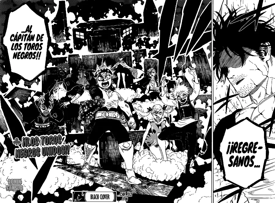 Black Clover capítulo 312, página 13