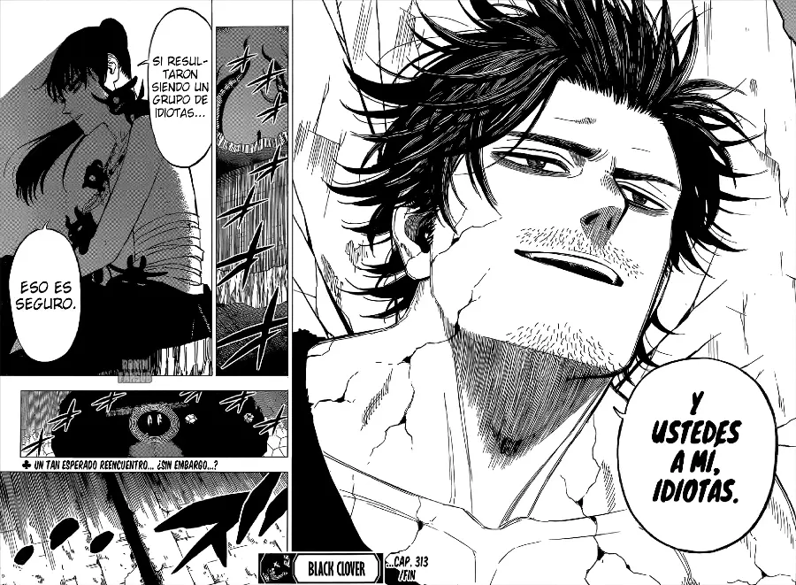 Black Clover capítulo 313, página 12