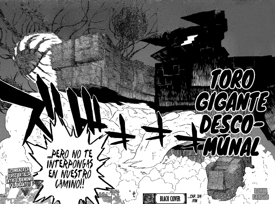 Black Clover capítulo 314, página 11