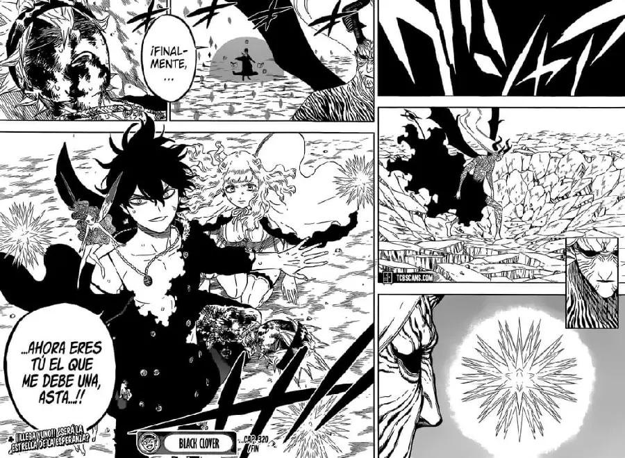 Black Clover capítulo 320, página 13