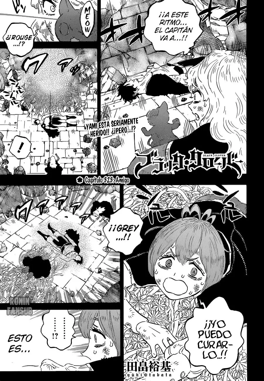 Black Clover capítulo 323, página 2