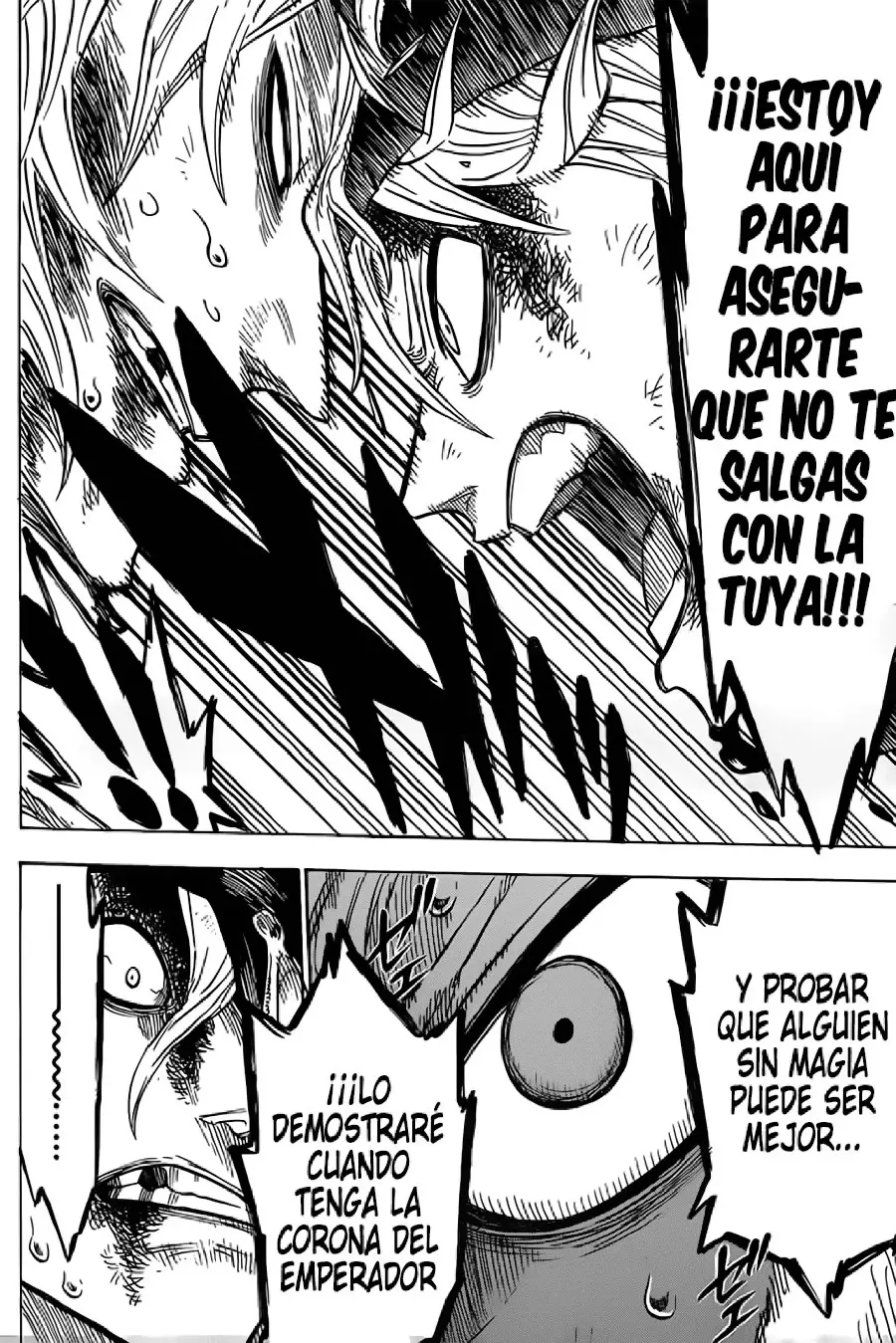 Black Clover capítulo 33, página 13