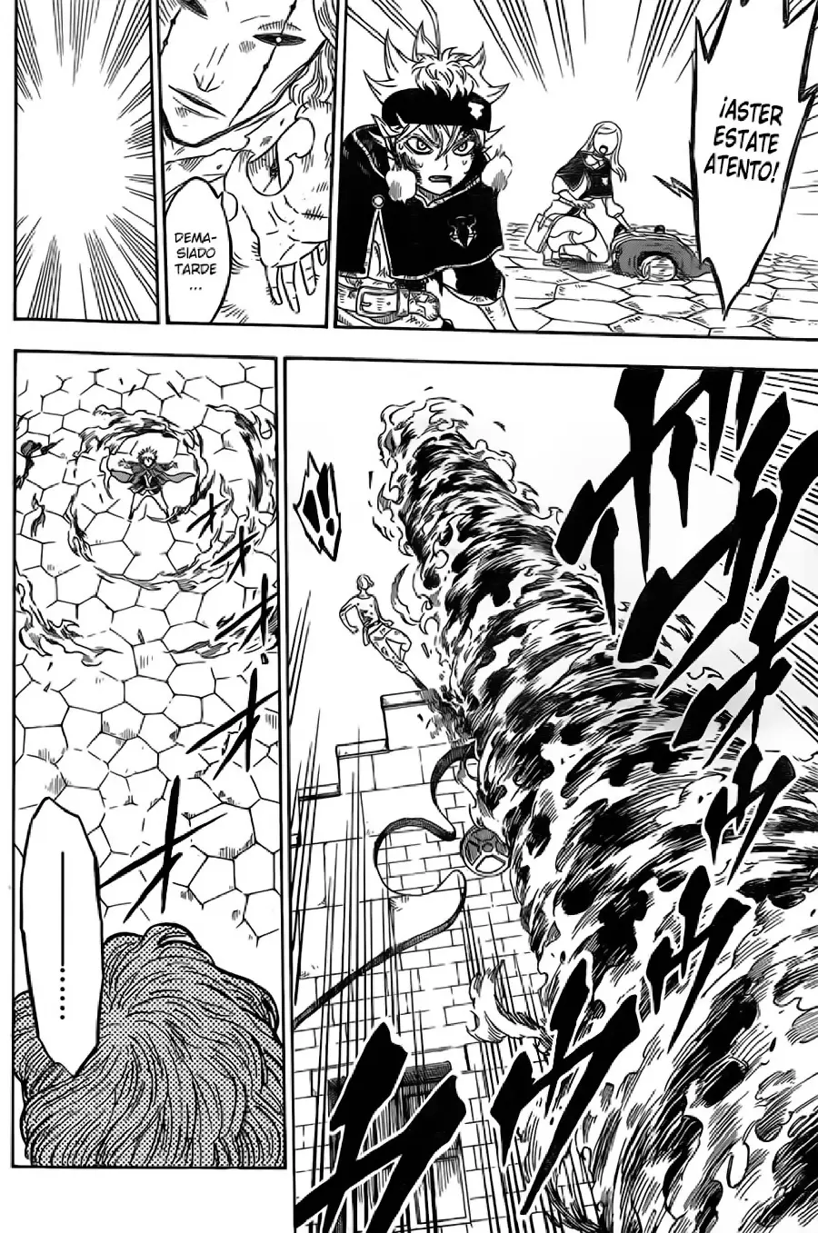 Black Clover capítulo 33, página 15