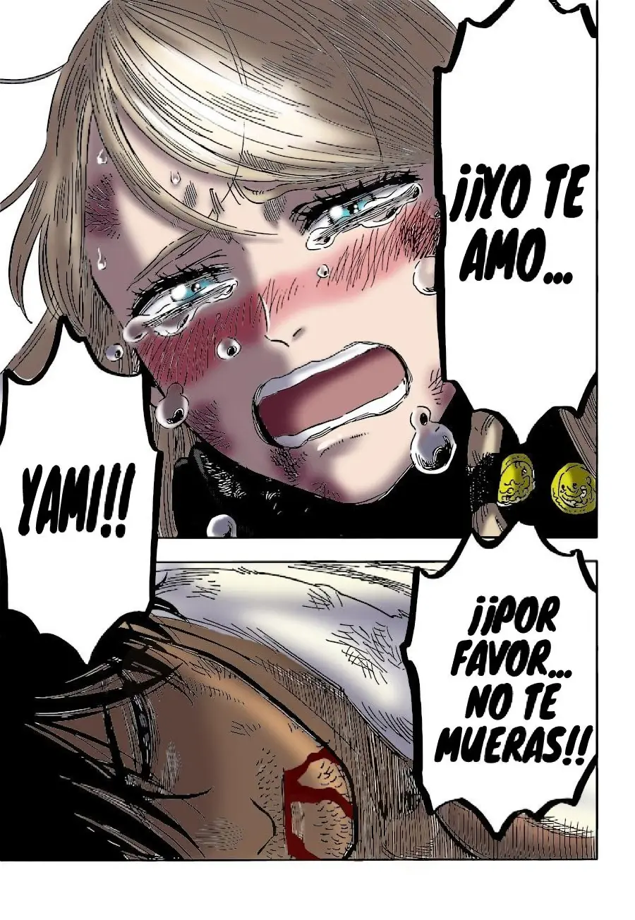 Black Clover capítulo 330, página 9
